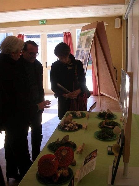 Expo champignons a St Leger 88